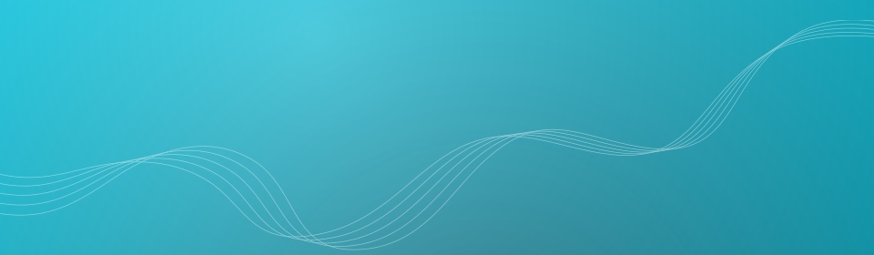 安全支付平台的手机号轰在线网页版入口